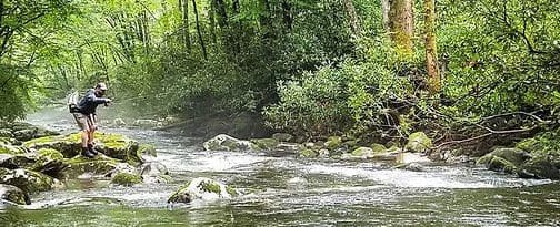 Tellico Trout Festival