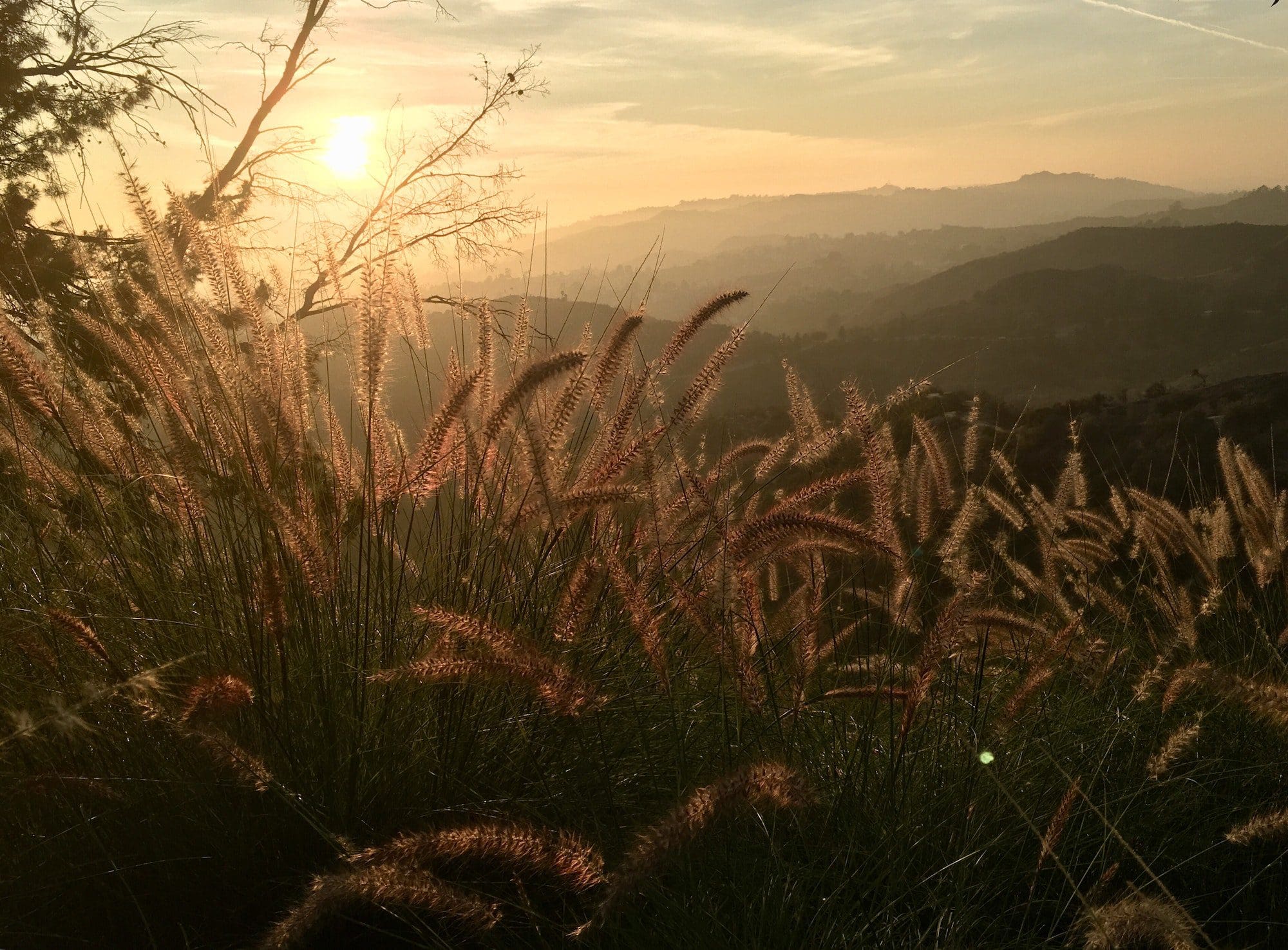 Golden hour of smoky mountains