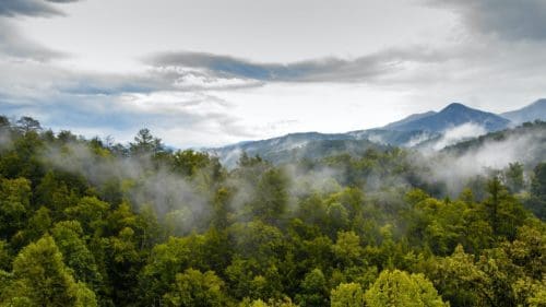 Great Smoky Mountains National Park