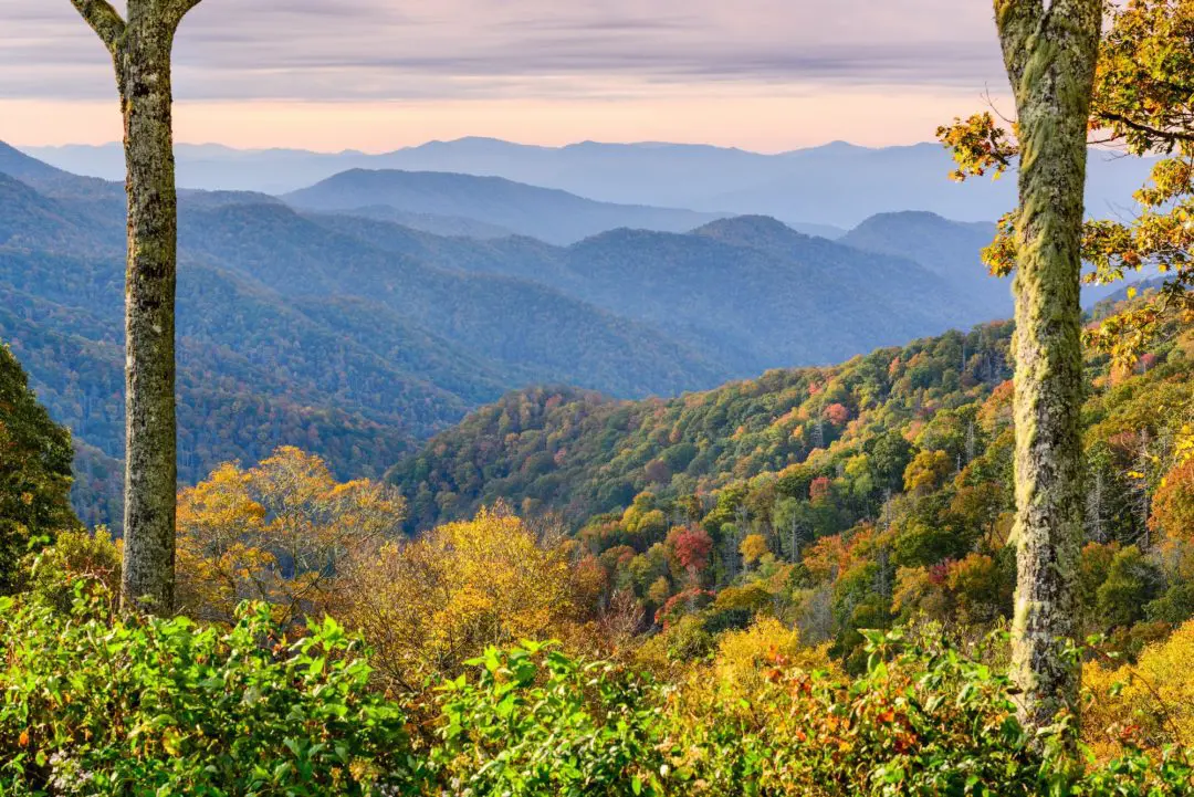 Vacation Rental Cabin, Mountain View Cabin Rentals, Tellico Plains TN Smoky Mountains