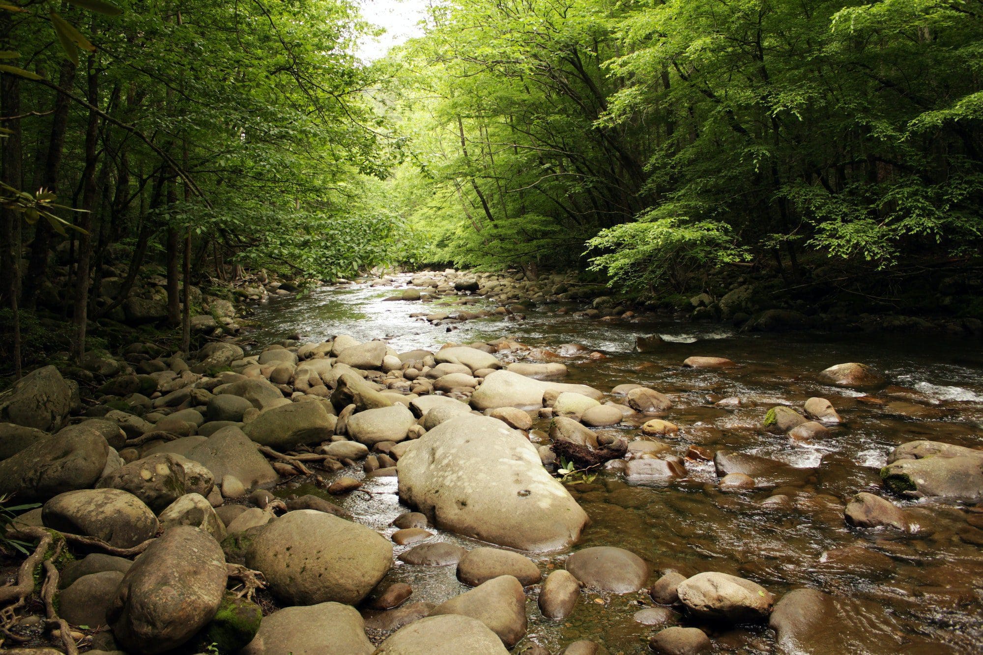 Mountain View Cabin Rentals, Tellico Plains, TN