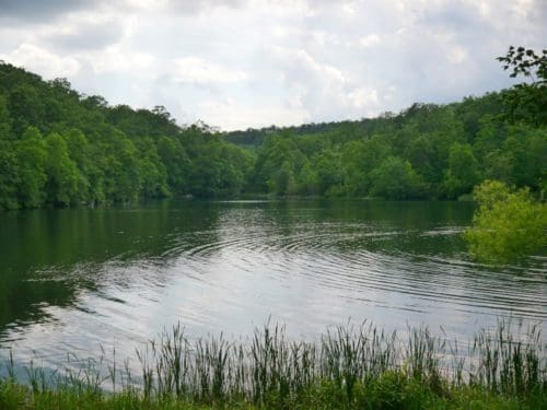 McCamy Lake Update Cherokee National Forest