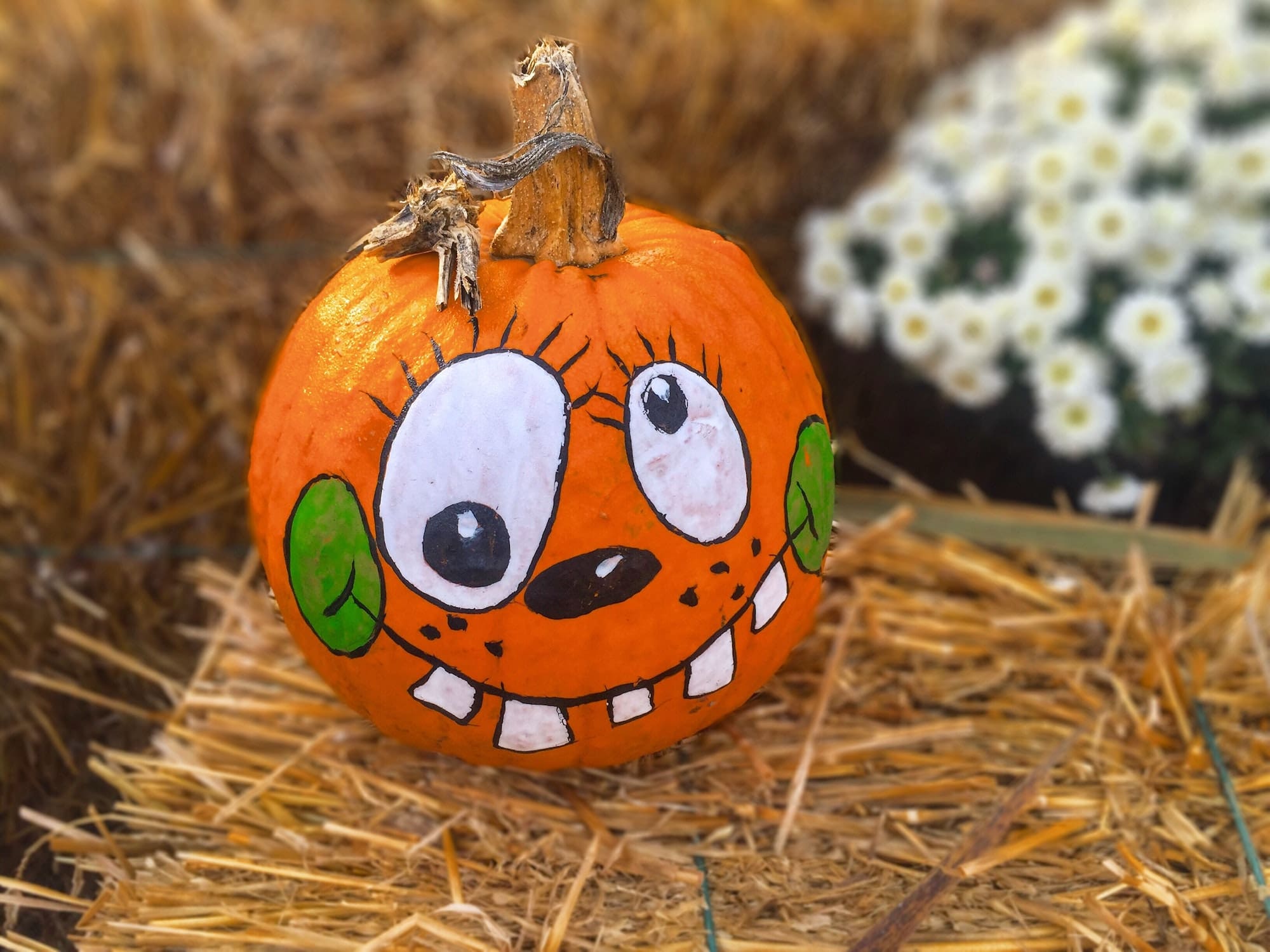 Crazy eyes Halloween pumpkin - painted pumpkin