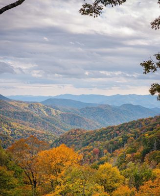 Great Smoky Mountains National Park, Tennessee, Mountain View Cabin Rentals, Tellico Plains TN Smoky Mountains