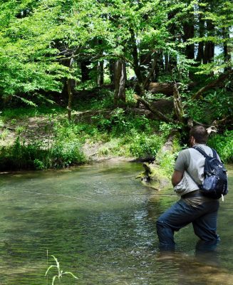 Mountain View Cabin Rentals, Tellico Plains TN Smoky Mountains