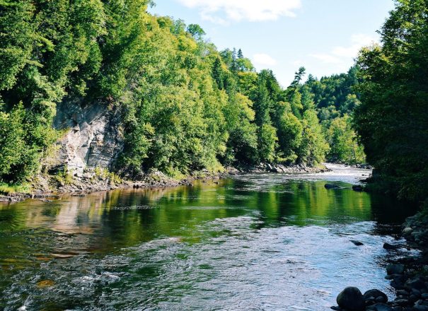 Tellico River